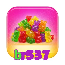 br537
