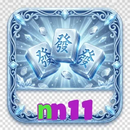 nn11